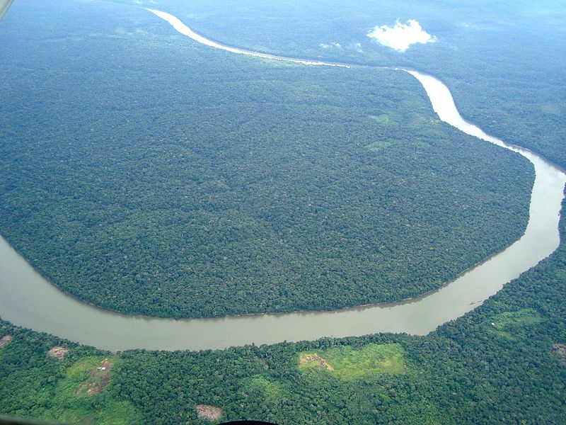 Amazon rainforest(1).jpg Amazon rainforest(1).jpg