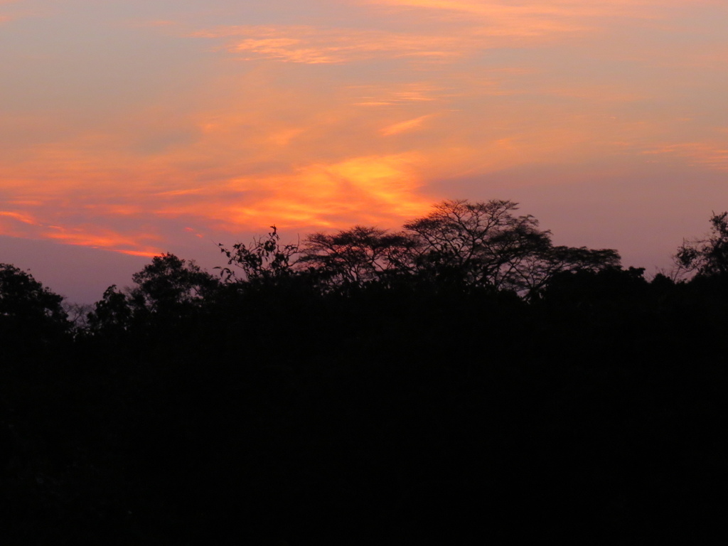 Sunset Clouds_Amazon rainforest_Barry Hsiung2017.jpg Sunset Clouds_Amazon rainforest_Barry Hsiung2017.jpg
