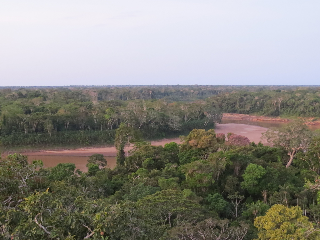 AmazonRiver_Tambopata National Reserve_Barry Hsiung2017.jpg AmazonRiver_Tambopata National Reserve_Barry Hsiung2017.jpg
