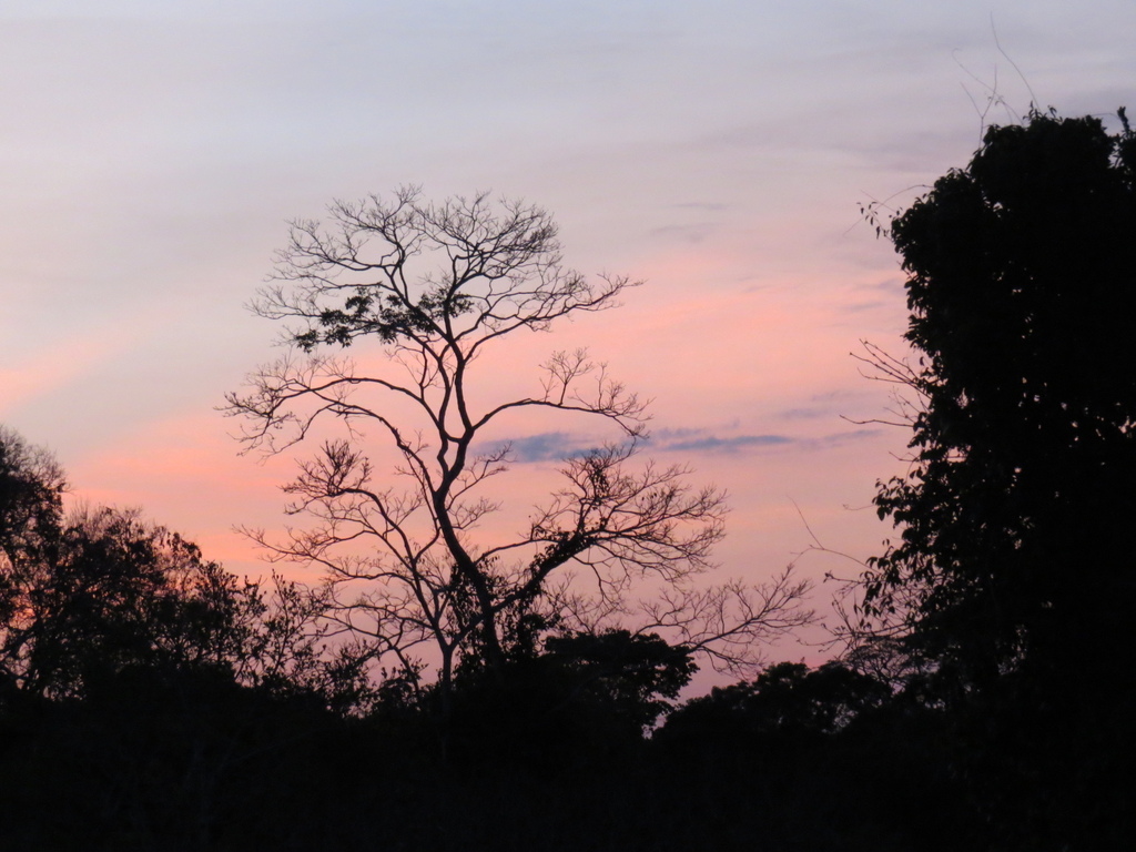 Sunset Clouds_Amazon rainforest_Barry Hsiung2017 (2).jpg Sunset Clouds_Amazon rainforest_Barry Hsiung2017 (2).jpg