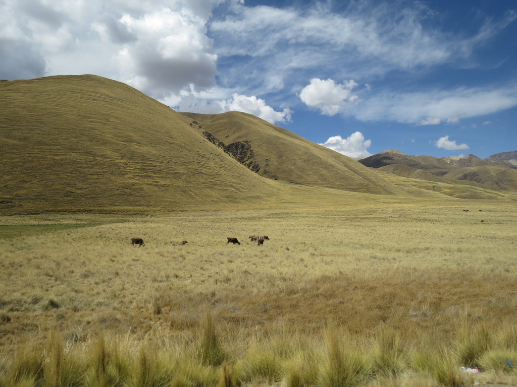 The Andes@ Route of the Sun_Peru_Barry Hsing201710 (2)(2).jpg The Andes@ Route of the Sun_Peru_Barry Hsing201710 (2)(2).jpg