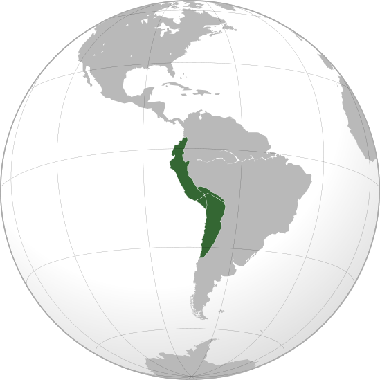 549px-Tawantinsuyu_(orthographic_projection).svg(1).jpg 549px-Tawantinsuyu_(orthographic_projection).svg(1).jpg