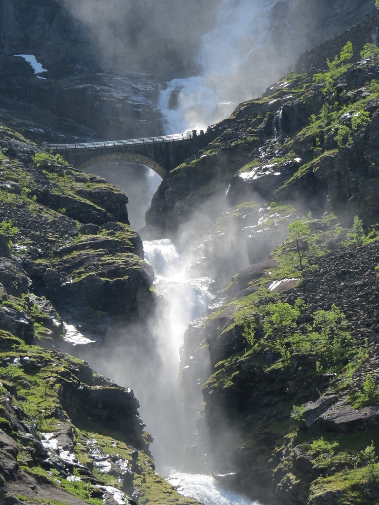 IMG_7365.jpg IMG_7365.jpg