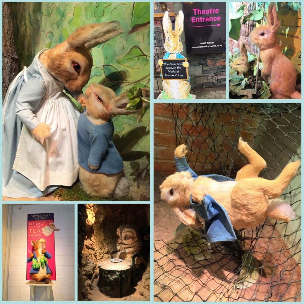 Peter Rabbit.jpg Peter Rabbit.jpg
