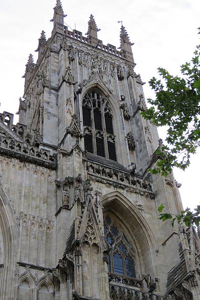 IMG_5202.jpg IMG_5202.jpg